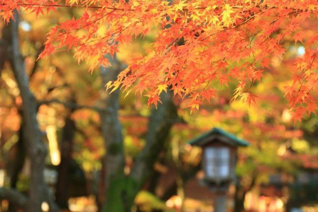 Kanazawa Guest House Nana 외부 사진
