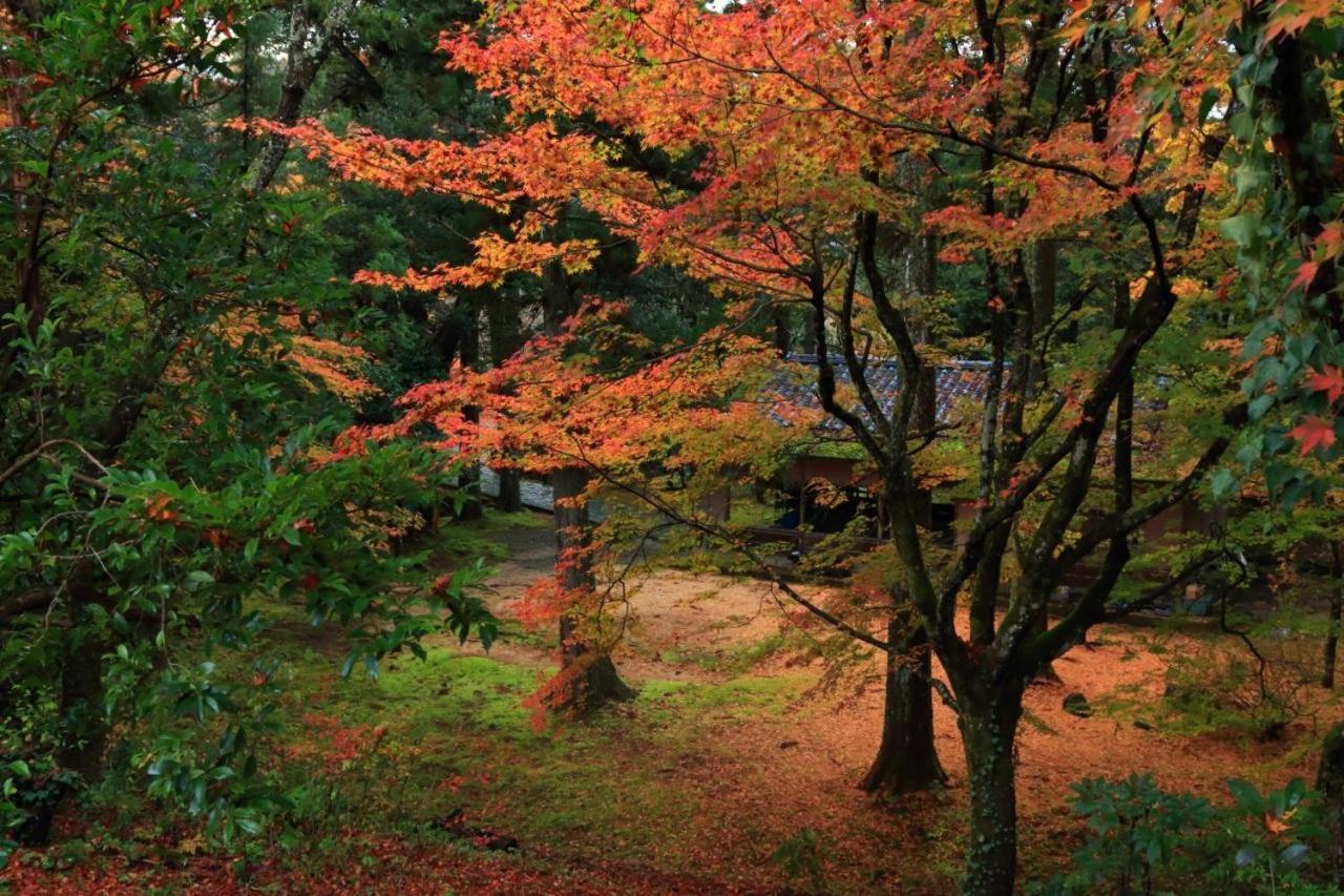 Kanazawa Guest House Nana 외부 사진